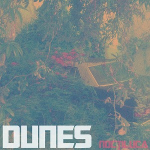 Dunes - Noctiluca