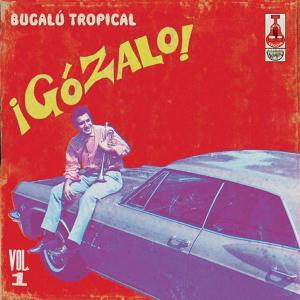 V/A - Gozalo! Vol.1 -180grams-